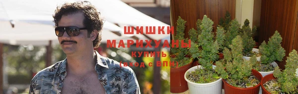 spice Абинск