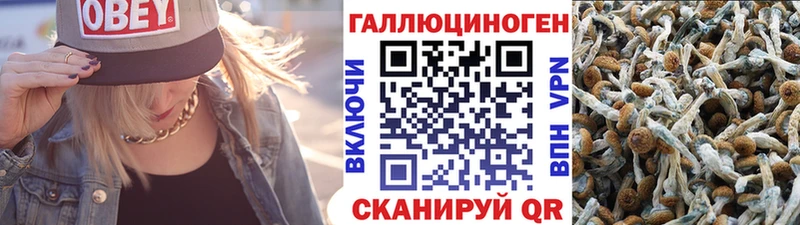 как найти наркотики  Среднеколымск  Псилоцибиновые грибы GOLDEN TEACHER 